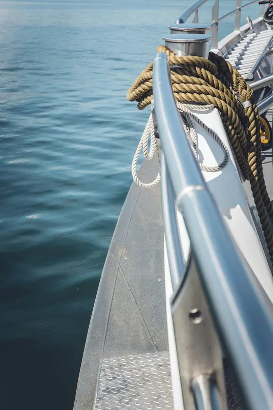 Ripple.Boats Premium Domain